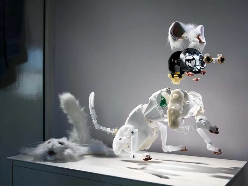 которобот necoro. известный робокот из одноименной детской манги. кошка киборг. роботизированный кот. робокот робокот.