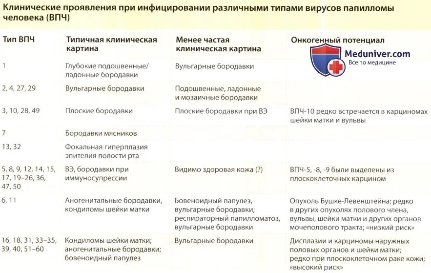 Лечение впч препараты схема лечения. Высокоонкогенные типы ВПЧ. Клинические проявления ВПЧ инфекции. Папилломы ВПЧ шейки матки.