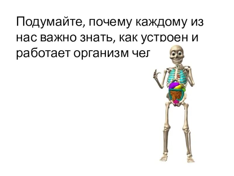 Как устроен и работает. Почему важно знать как устроен и работает организм человека. почему важно знать как работает организм человека. зачем нам знать как устроен и работает наш организм. почему важно знать как устроен и работает организм человека 2 класс.