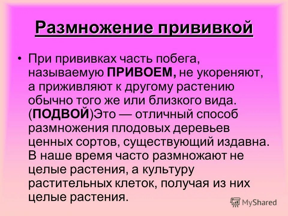 Вегетативное размножение прививкой инструкция. Размножение прививкой. Размножение растений прививкой. Растения размножающиеся прививкой. Вегетативное размножение прививкой.