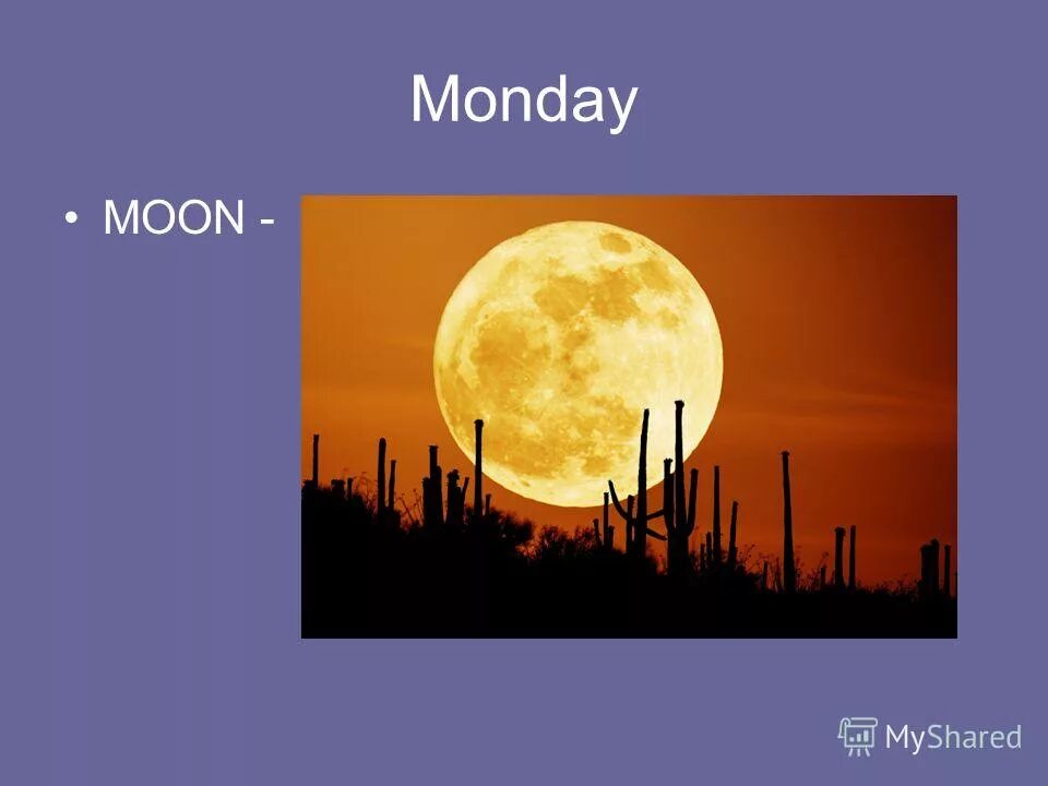 Monday Moon. Monday is a Moon Day. Понедельник Луна. Monday Moon детская картинка.