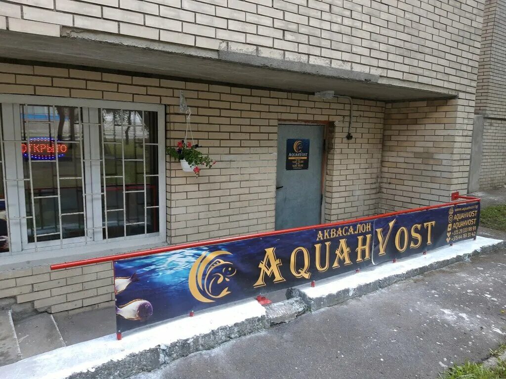 минск аквапарк лебяжий гостиница. аквахвост минск. кольцовская 39. аква минск аквапарк. рыба сидит.