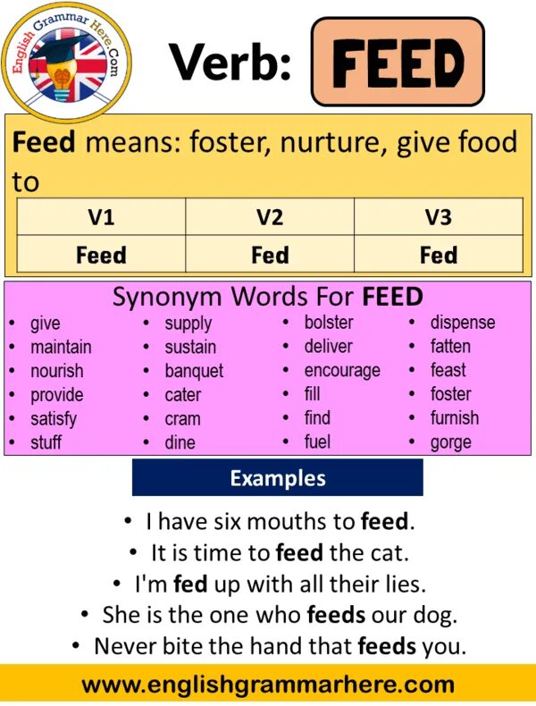 Feed 3 forms. Глагол feed в past simple. три формы глагола feed. прошедшая форма глагола feed. неправильная форма глагола feed.