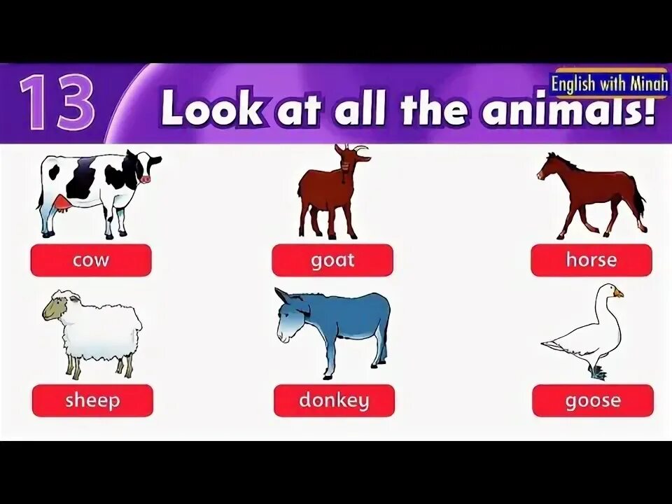 Look at the all animals Family and friends. Family and friends animals Wordwall. Wordwall Family and friends 2 Unit 11. Family and friends Starter animals. Family and friends unit 13