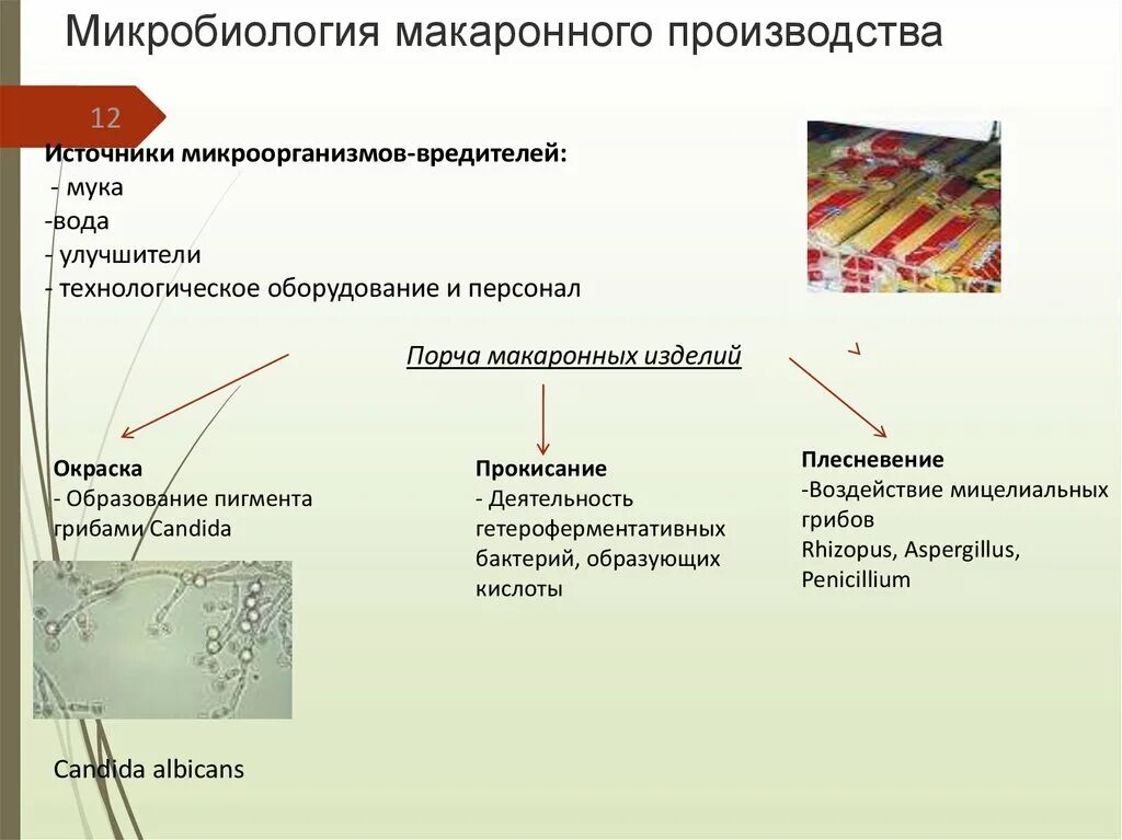 Микробиологический контроль муки. Пищевая микробиология. микробиология макаронного производства и крупы. микробиологический контроль производства. микробиология макароны.