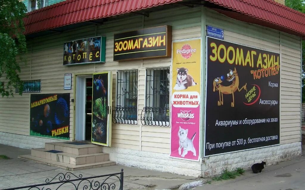 Котопес березники. Котопес березники. Кото́пес саратов. Котопёс. Ветклиника котопес махачкала.