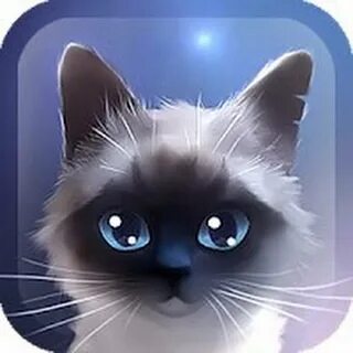 Аватара коты