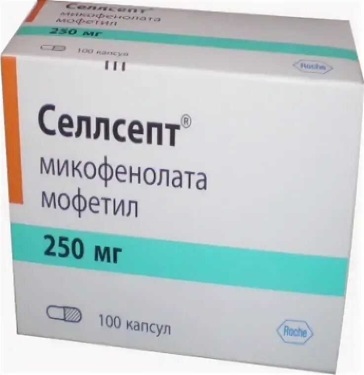 Селлсепт 250 мг. Микофенолата мофетил 500 мг. Селлсепт 250 мг Швейцария. Селлсепт 500