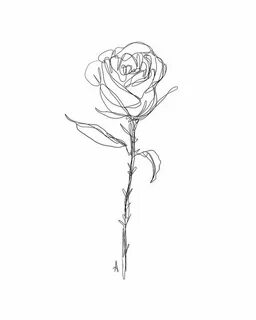 Rose line