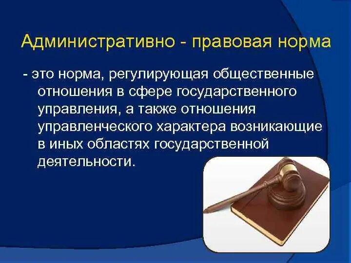 Финансово правовые нормы их классификации. Элементы структуры юридической нормы. Финансово правовые нормы их классификации. Структура правовой нормы схема. Правовая норма локального действия.