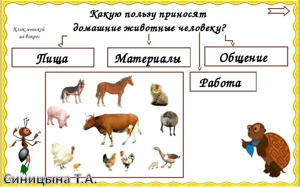 Дикие домашние животные окружающий мир