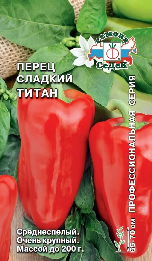 Перец титан характеристика. Перец сладкий толстячок 0,3 г. Фото маленького толстого перчика. Перец титан 0,1г ц/п (седек). Перец гигант темно вишневый.