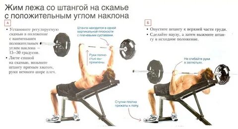 Жим штанги 30 градусов