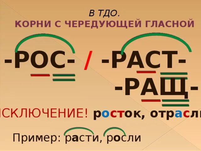 Корень рос от чего зависит. Корень раст рост правило. Корни раст рос ращ.