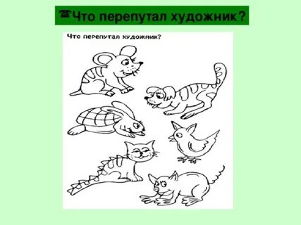 Перепутал входы