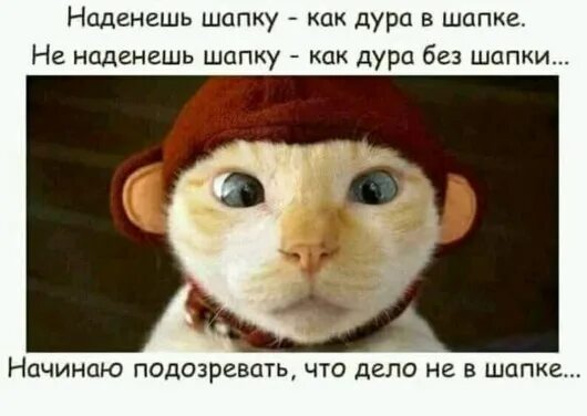 К концу следующей недели. К концу следующей недели. Как правильно писать недели или неделе. Пятница домой. В течение неделе или недели.