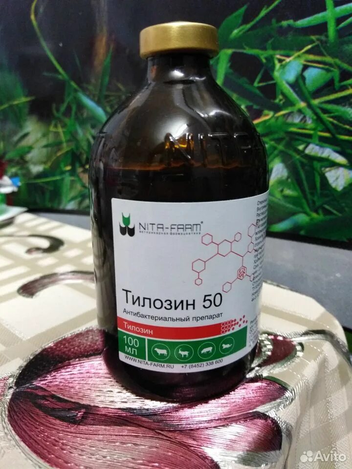 Тилозин 50 птицам. Тилозин 50. тилозин 50 таблетки. тилозин для кошек. тилозин 50 для кошек.