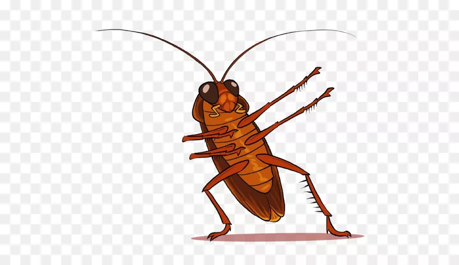 тараканы мультяшные. таракан рисунок. милый таракан. смешной таракан. смешной таракан.