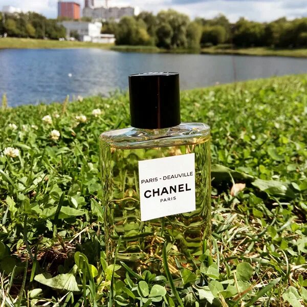 Chanel deauville. Шанель духи deauville. Шанель духи deauville. Chanel deauville. Духи шанель париж.