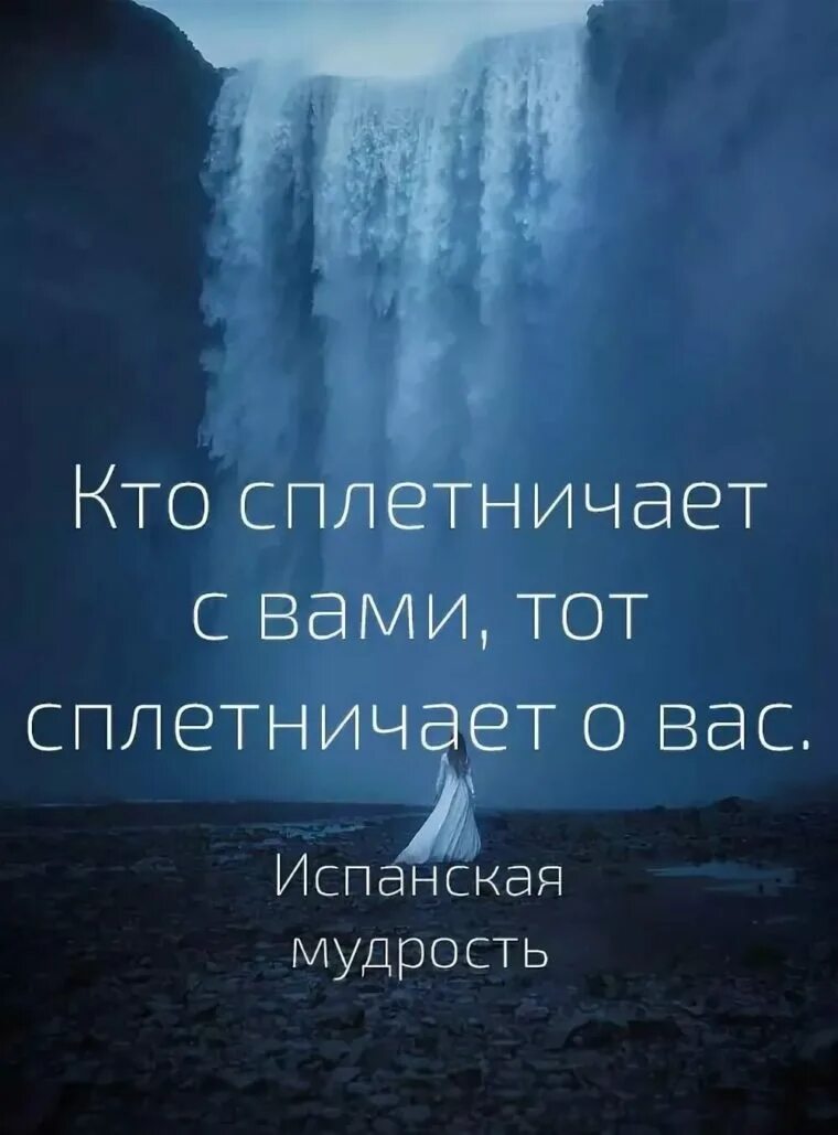 Статусы со смыслом про жизнь мудрые картинки. Цитаты со смыслом. Красивые цитаты. Цитаты про жизнь. Мудрые фразы.