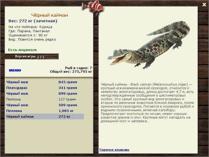 рыбалка 3 амазонка. русская рыбалка bear edition клевалка. русская рыбалка 3 7 5 амазонка мв. рыбалка 3 амазонка. русская рыбалка 3 7 4 амазонка.