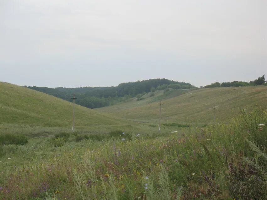 Погода село прохоровское. Село Лучки Прохоровский. Деревня Лучки Прохоровского района. Село Лучки Прохоровского района Белгородской области. Село Лучки Белгородская область.