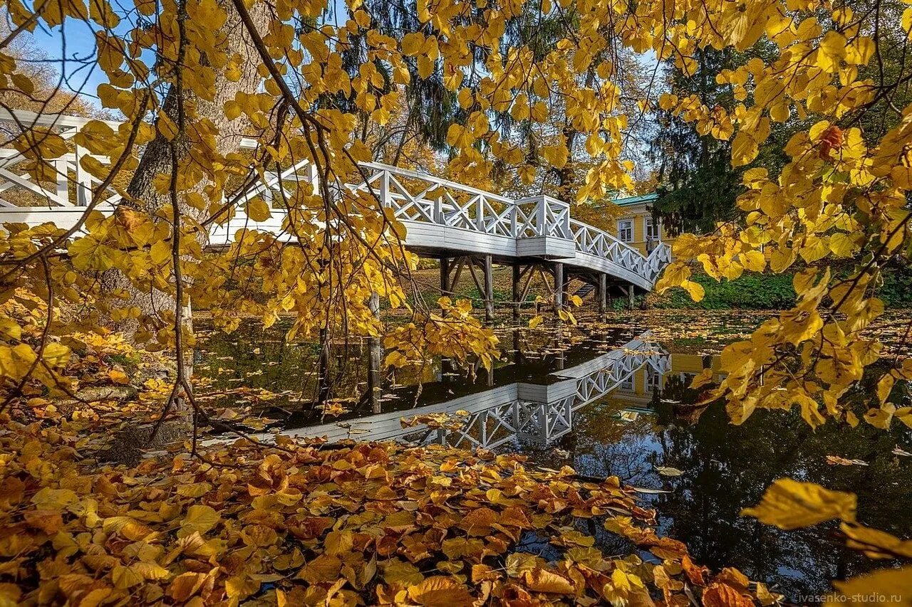 Барский дом болдинской усадьбы пушкиных. Болдинская осень фильм. Болдинская усадьба расположенная недалеко от 1. Большое болдино музей пушкина. Имение болдино пушкин.