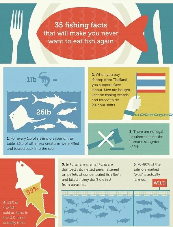 Корацин рыба фото. Санфиш рыба. Fish fact. Sunfish bluegill. Губан меланурус.