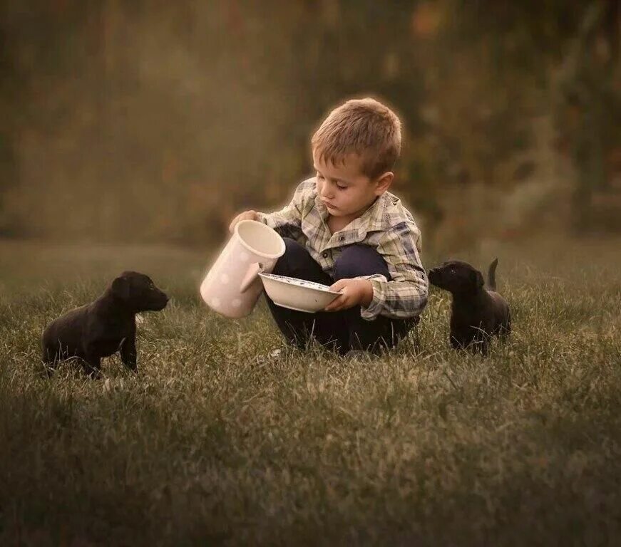 Добрый поступок мальчика. О доброте. Для детей. Животные. Сострадание к животным. Доброта к животным.