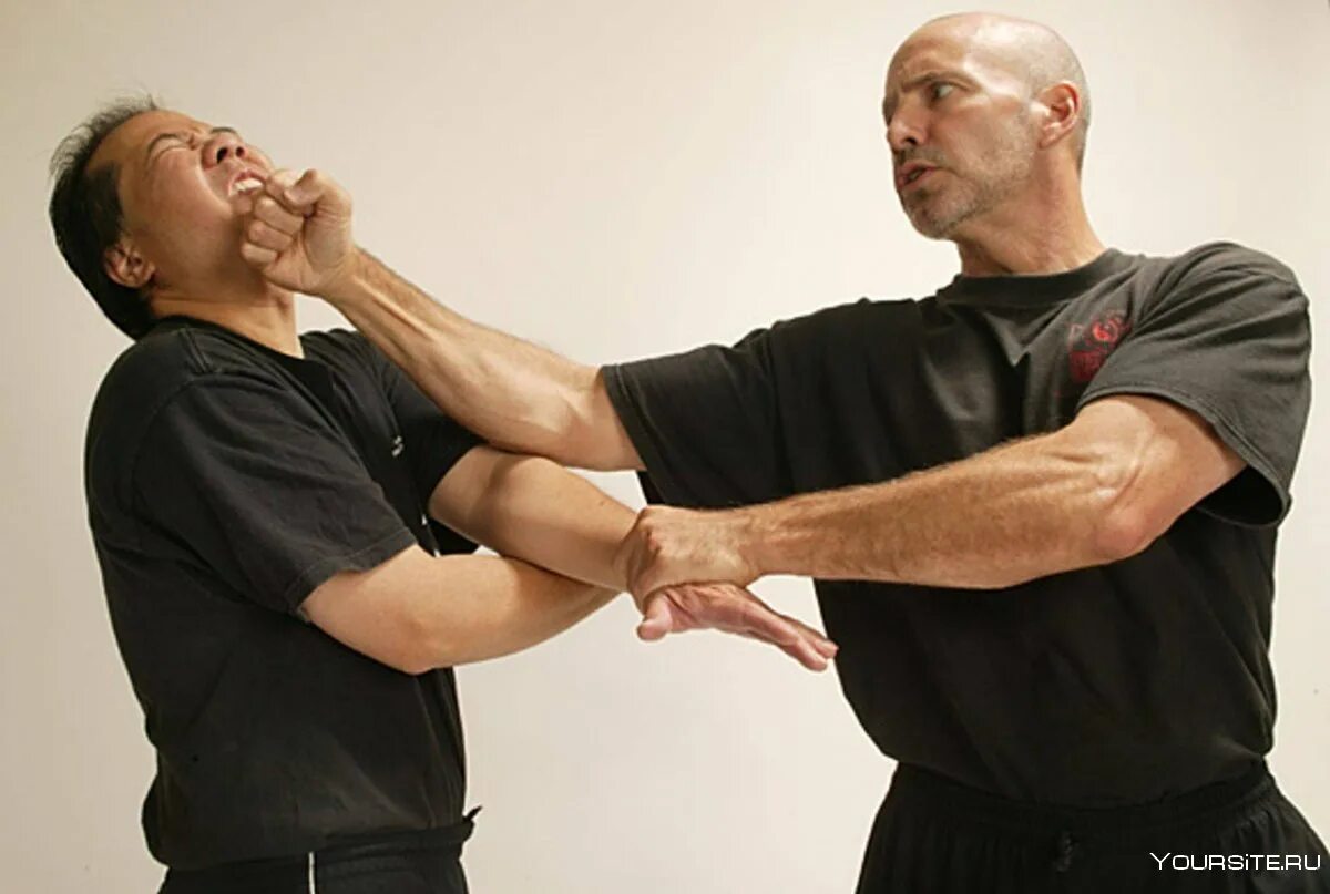 таолу шаолиньцюань. стиль винь чунь. мандзи шаолинь. учимся боевыми искусствами. учимся боевыми искусствами.
