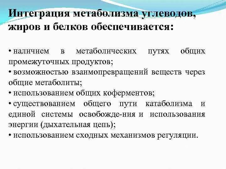 Обмен веществ презентация. Принципы метаболизма. Принципы метаболизма. Биоэнергетика это кратко. Интеграция метаболизма биохимия.