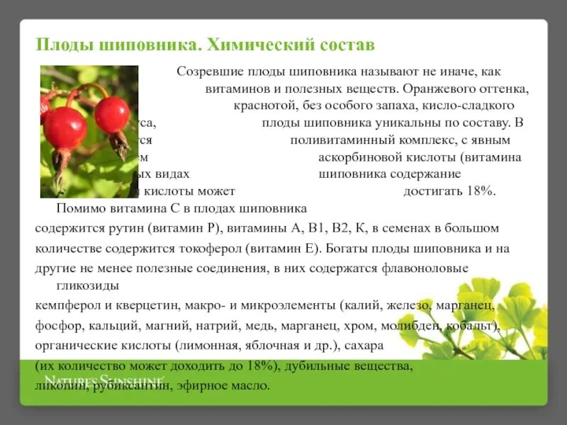 Запахи плодов