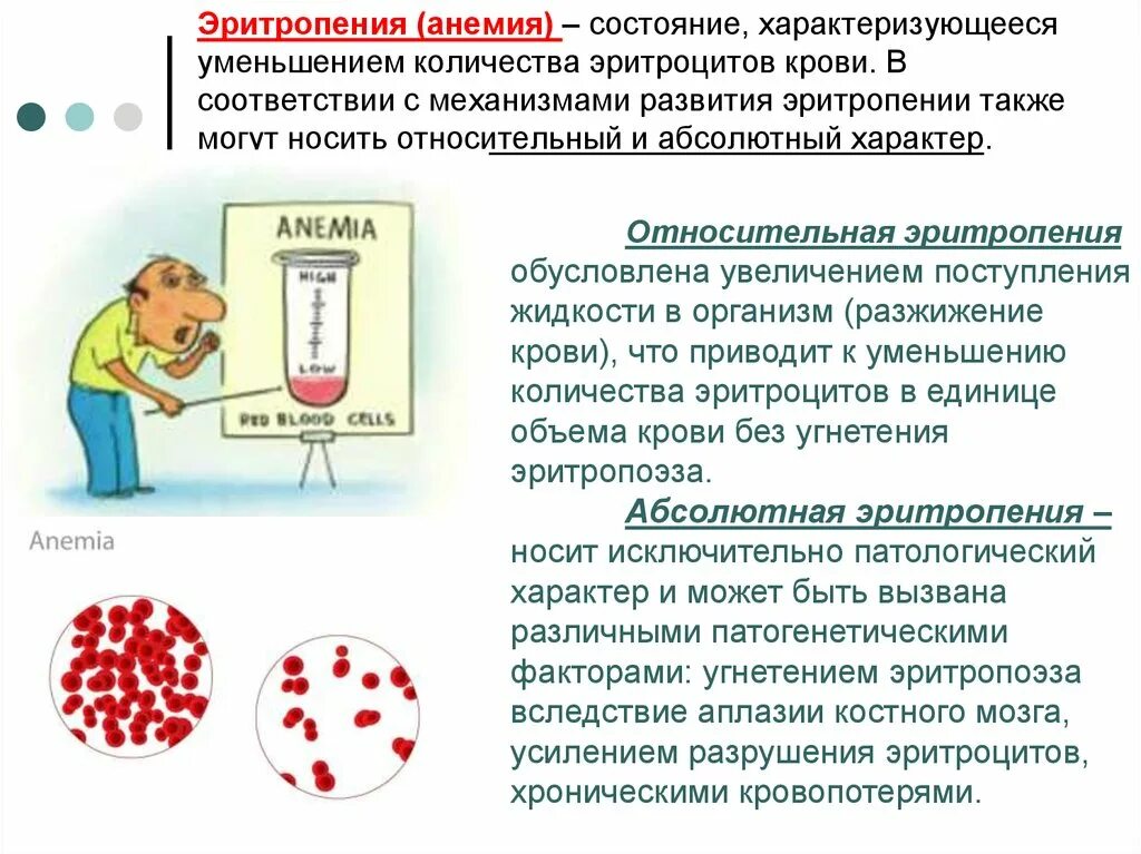 Понятие анемии. Эритропения. Эритроцитоз и эритропения. Уменьшение количества эритроцитов. Причины снижения количества эритроцитов.