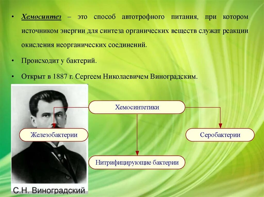 Хемосинтезирующие бактерии характеризуются. Хемосинтез открыл в 1887. Хемосинтез. Фотосинтез и хемосинтез. Хемосинтез презентация.