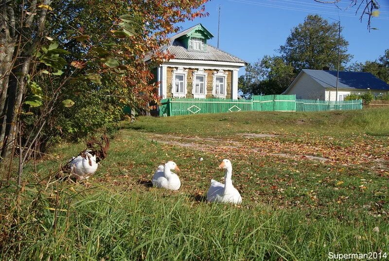 Ис село. Рудне-Никитское Орехово-Зуевский район. Рудне-Никитское Орехово-Зуевский храм. Село Рудня-Никитское. Деревня Рудня Никитское.