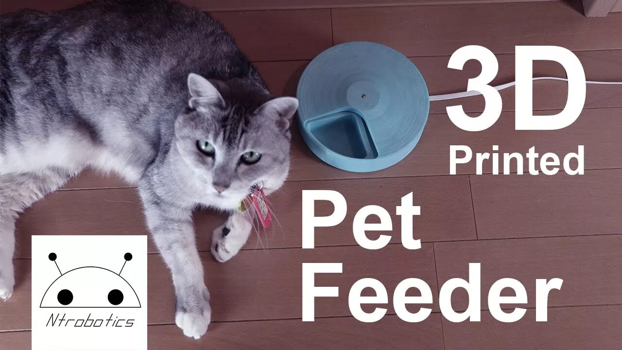 Did you remember feed the cat. Diy automated cat feeder. iot pet fountain. he doesn&#039;t like feeding pets.