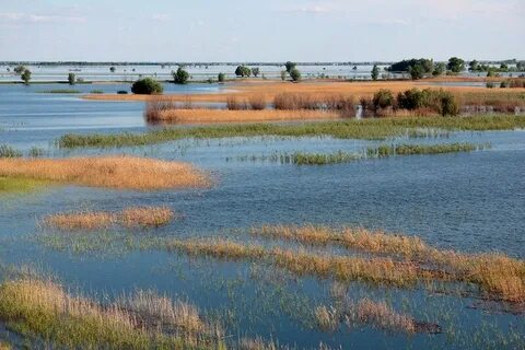 Малая водная