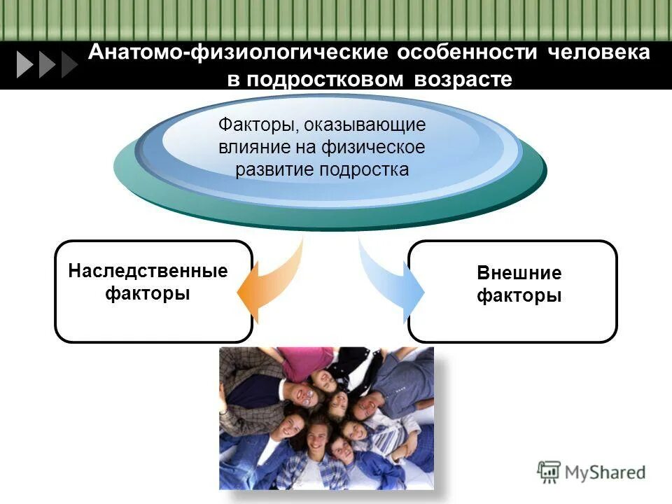 Атомно физиологические особенности человека. Анатомо-физиологические особенности человека. Анатомо-физиологические особенности подросткового возраста. Особенности анатомо физиологического развития подростков.