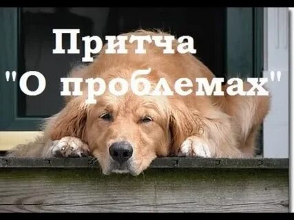Однажды человек шел