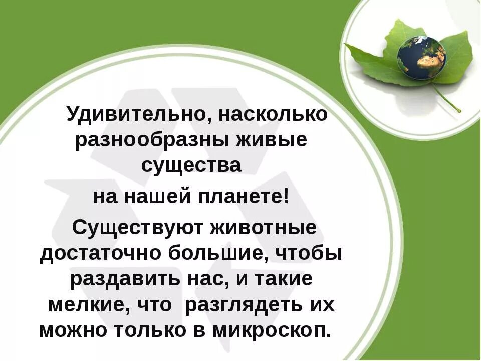 Удивительно насколько. Живые существа нашей планеты 3 класс окружающий мир. Рассказ на тему живые существа нашей планеты 3 класс окружающий мир. Короткий рассказ живые существа нашей планеты 3 класс.