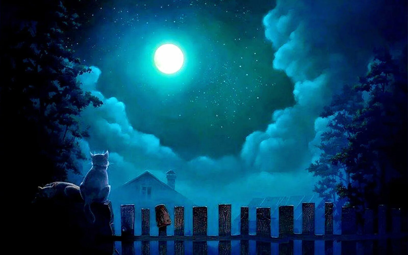 Сказочная ночь. Лунная ночь. Сказочное ночное небо. Летняя ночь.