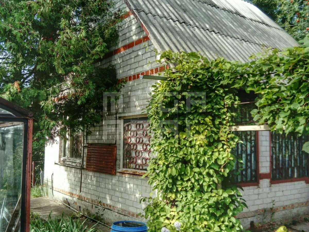 Дачи курский район. Дачи в курске. Дачный домик в щетинке. Дача курск недорого. Снт строитель щетинка курск.