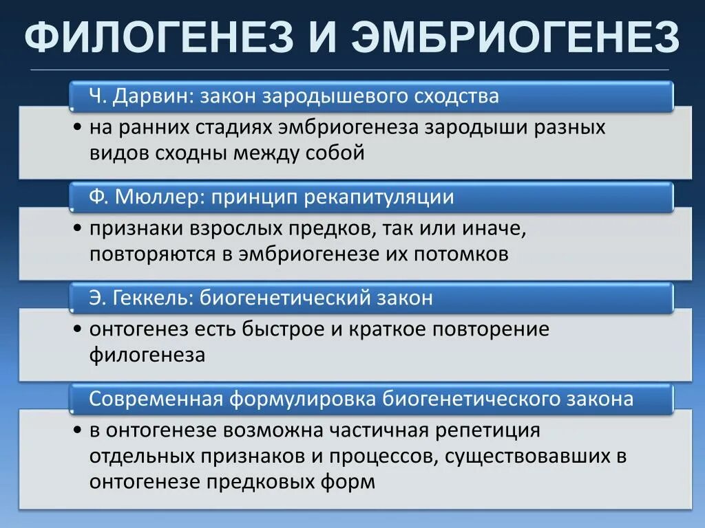 Строение филогенеза. Учение а.н. Северцова о филэмбриогенезах.. Эмбриогенез и филогенез. Филэмбриогенезы:анаболии, девиации, архаллаксисы.. Виды филэмбриогенеза.