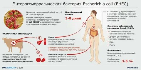 Проверенная инфекция