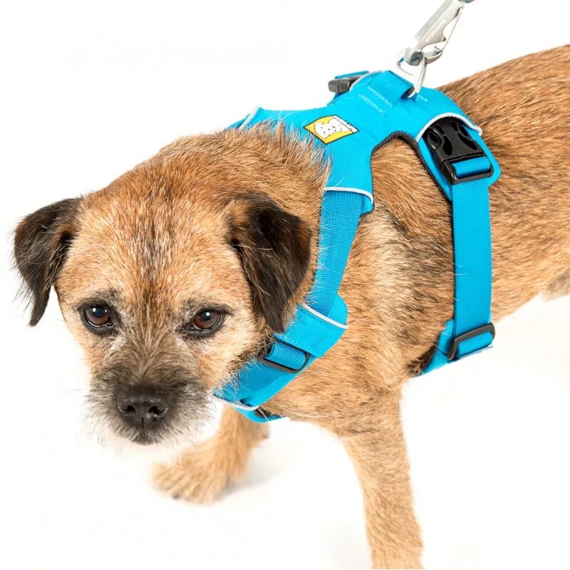 Шлейка для собак Ruffwear harness. Шлея Ruffwear Front range harness New. Шлейка Ruffwear Джек Рассел. Шлейка Comfy harness.