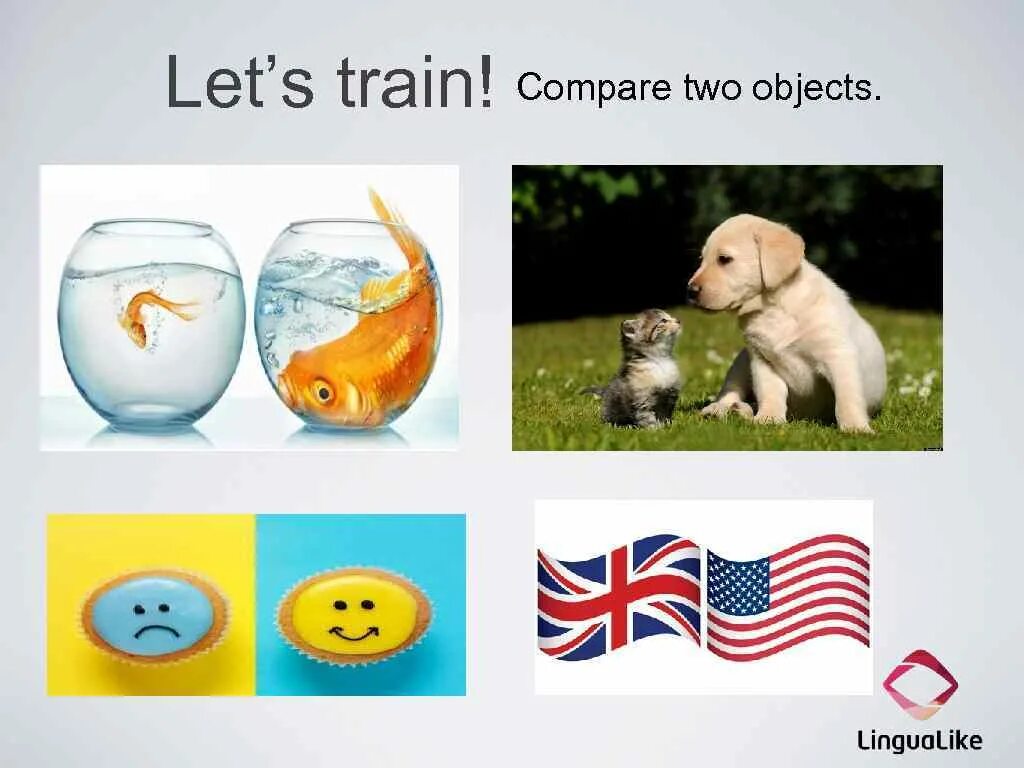 E compare. Compare картинка. Compare two objects. Objects to compare. Things to compare.