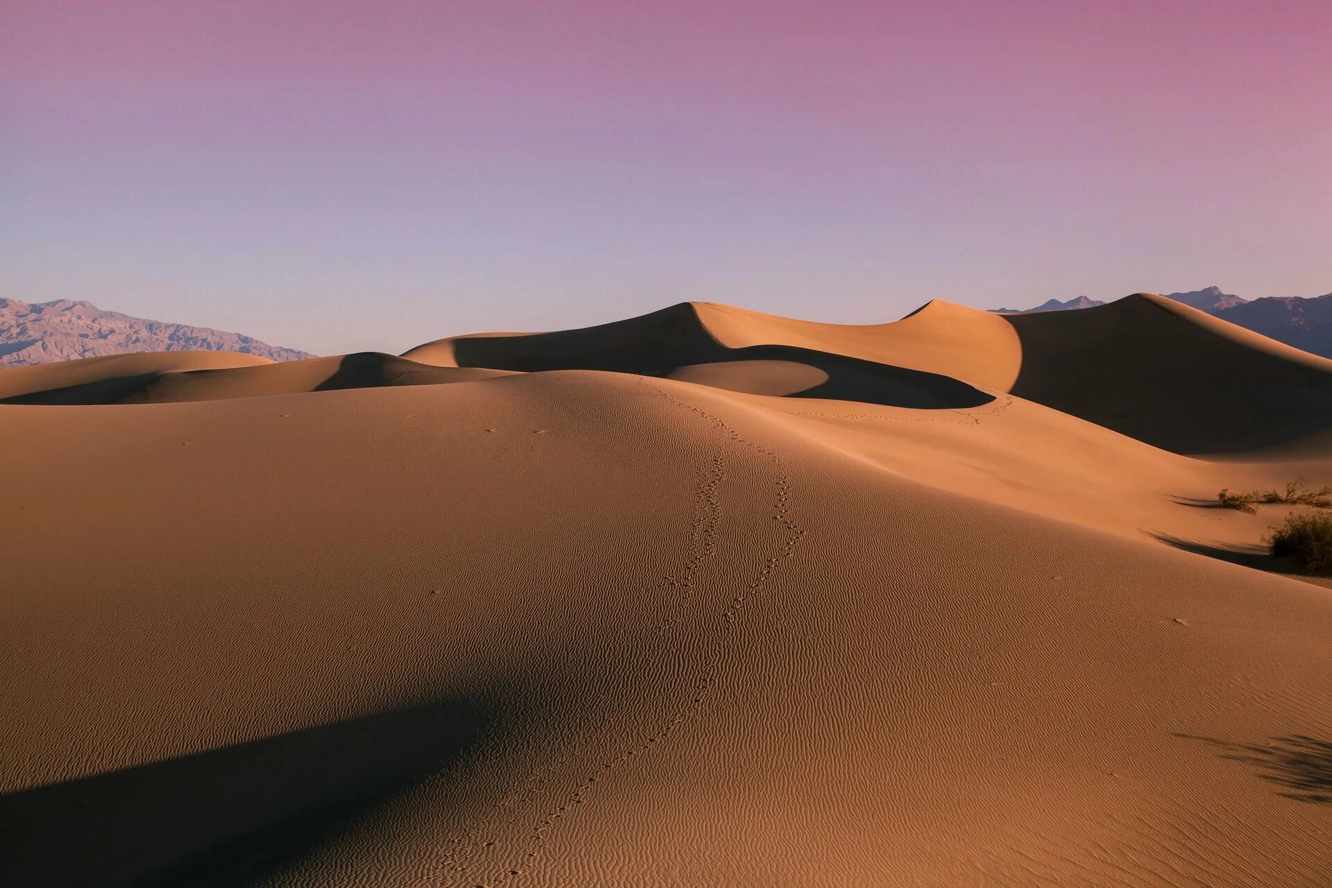 Приокеаническая пустыня. Песчаная Дюна. Дюна пустыня. Пустыня на рабочий стол. Пустыня обои.