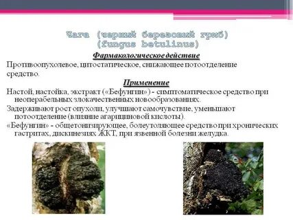Чем полезна чага для мужчины