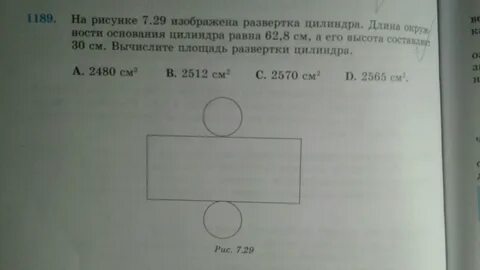 На рисунке изображена развернутая