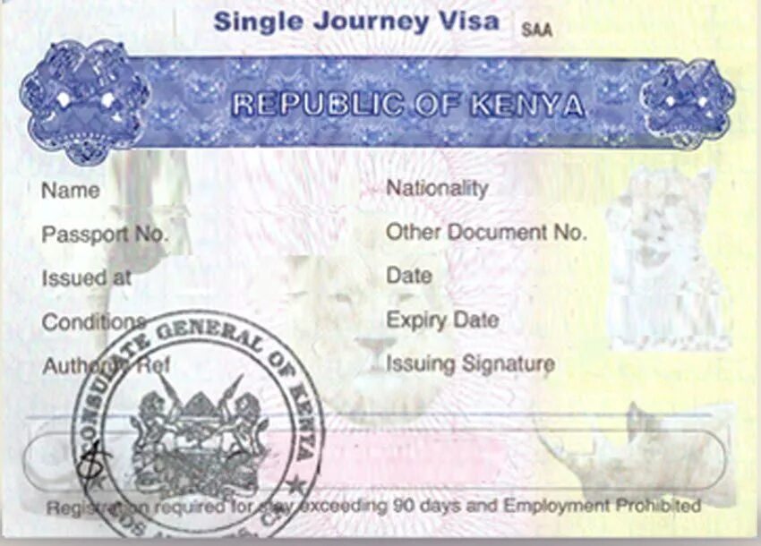 Passport issued. Кения виза. Kenya visa. Виза Кения картинки.